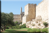 Old City Tower of David